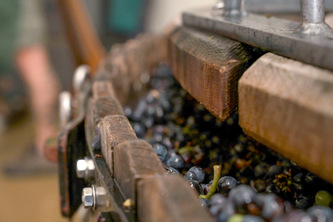 Pressoir traditionnel