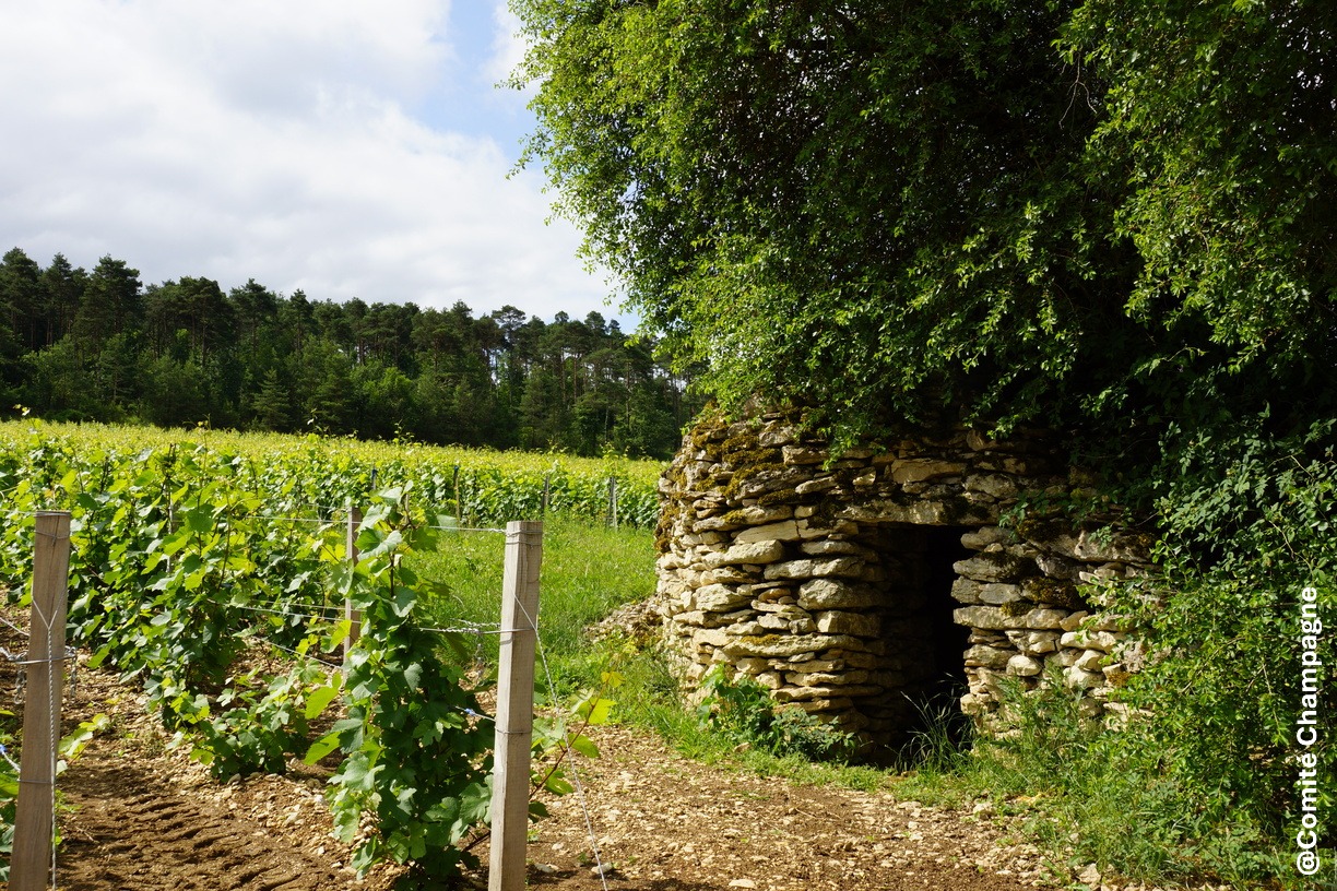 Cadole aux Riceys ©Comité Champagne